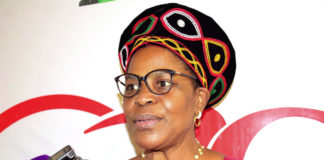 38e conférence ministérielle de la CONFEJES: louissette-René Ndedi nommée secrétaire générale