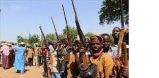 Commune de Gorgadji :10 VDP tués dans un affrontement avec des HANI