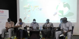 Bobo-Dioulasso : Des chercheurs animent une conférence sur l’utilité ou la nuisance des insectes