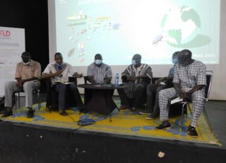 Bobo-Dioulasso : Des chercheurs animent une conférence sur l’utilité ou la nuisance des insectes