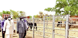 Filière bétail : Yako dispose d’un nouveau marché de bétail
