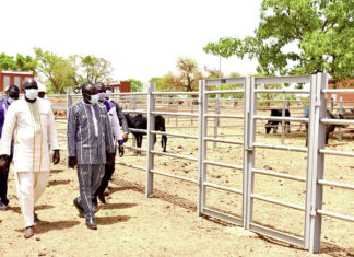 Filière bétail : Yako dispose d’un nouveau marché de bétail