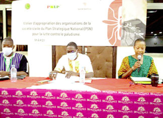 Lutte contre le paludisme : L’accompagnement de la société civile attendu