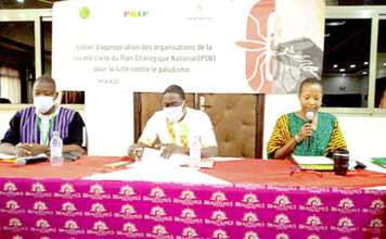 Lutte contre le paludisme : L’accompagnement de la société civile attendu
