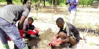 Projet d’appui aux populations dépendantes de la forêt : Une opportunité offerte aux associations de s’auto-employer