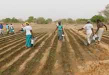 Gestion des aires protégées PONASI : Une délégation de l’Union européenne au cœur du complexe