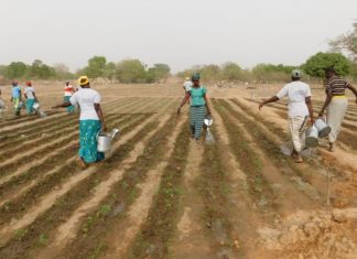 Gestion des aires protégées PONASI : Une délégation de l’Union européenne au cœur du complexe