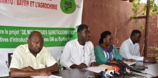 Lutte contre le paludisme: Un collectif citoyen exige l’arrêt du projet Target malaria