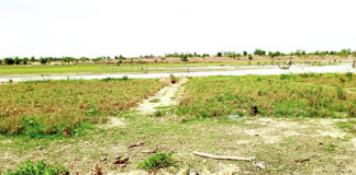 Exploitation illégale du barrage de Gourgou : un producteur de tomates « indélicat » à la barre