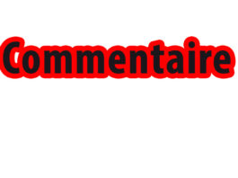 « Nous allons rester concentrer et essayer d’apporter du bonheur et du plaisir à nos compatriotes », promet Steeve Yago.