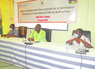 Contribution déterminée au niveau national : Les plans sectoriels validés