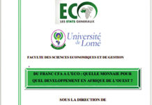 Passage du F CFA à l’ECO : Ce qu’il faut pour réussir le processus