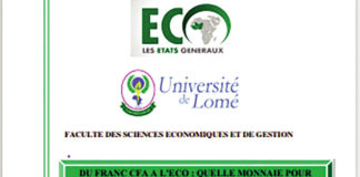 Passage du F CFA à l’ECO : Ce qu’il faut pour réussir le processus