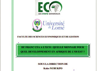 Passage du F CFA à l’ECO : Ce qu’il faut pour réussir le processus
