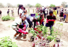 Education environnementale : Etendre le concept à toutes les écoles
