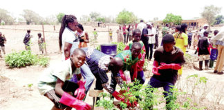 Education environnementale : Etendre le concept à toutes les écoles
