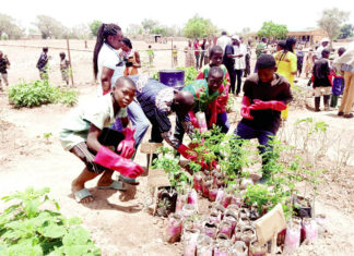 Education environnementale : Etendre le concept à toutes les écoles