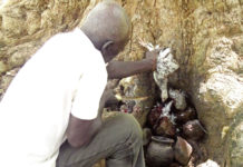 Déforestation du site sacré “Wobdio” dans le Ioba : Une menace pour les génies et le tourisme