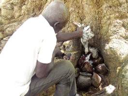 Déforestation du site sacré “Wobdio” dans le Ioba : Une menace pour les génies et le tourisme