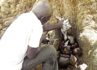 Déforestation du site sacré “Wobdio” dans le Ioba : Une menace pour les génies et le tourisme