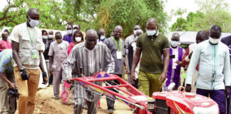 Campagne agricole humide 2021-2022 : 5 991 394 tonnes de céréales attendues