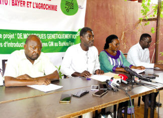 Lutte contre le paludisme : Un collectif citoyen exige l’arrêt du projet Target malaria