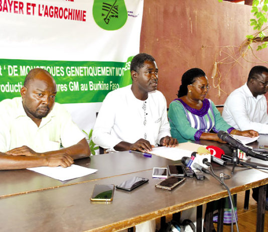 Lutte contre le paludisme : Un collectif citoyen exige l’arrêt du projet Target malaria