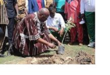Journée nationale de l’arbre : La 3e édition aura lieu le 07 Août 2021 à Ziniaré (Conseil des ministres).