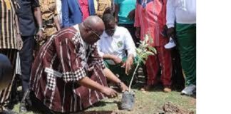 Journée nationale de l’arbre : La 3e édition aura lieu le 07 Août 2021 à Ziniaré (Conseil des ministres).