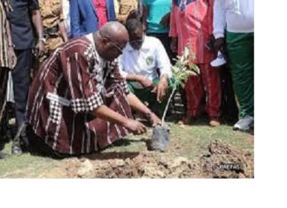 Journée nationale de l’arbre : La 3e édition aura lieu le 07 Août 2021 à Ziniaré (Conseil des ministres).