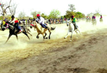 Grand prix hippique de l’intégration africaine : C’est parti