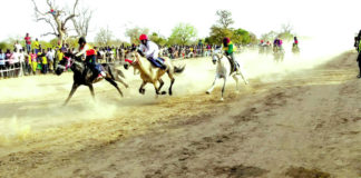 Grand prix hippique de l’intégration africaine : C’est parti