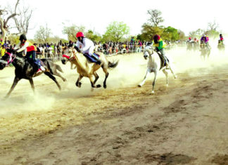 Grand prix hippique de l’intégration africaine : C’est parti