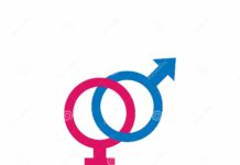 Budgétisation sensible au genre : Bilan mitigé de la phase pilote