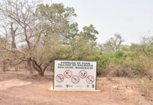 Conservation des bois sacrés : Kalwaka, l’exemple d’une conscience communautaire