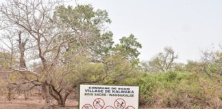 Conservation des bois sacrés : Kalwaka, l’exemple d’une conscience communautaire