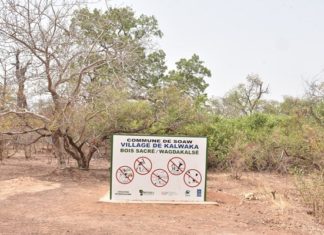 Conservation des bois sacrés : Kalwaka, l’exemple d’une conscience communautaire
