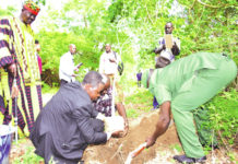 Salon international de l’arbre 2021 : Sous le signe de la restauration des écosystèmes sahéliens