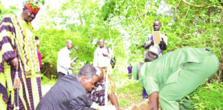 Salon international de l’arbre 2021 : Sous le signe de la restauration des écosystèmes sahéliens