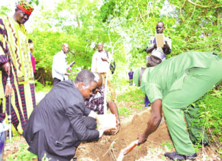 Salon international de l’arbre 2021 : Sous le signe de la restauration des écosystèmes sahéliens