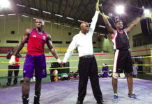 46e anniversaire de la CEDEAO : Du noble art pour célébrer l’évènement