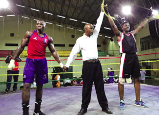 46e anniversaire de la CEDEAO : Du noble art pour célébrer l’évènement