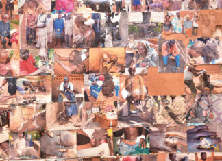 Insertion sociale des malades mentaux : une autre vie est possible