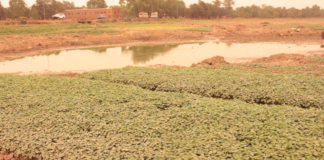 Pratique de la maraîcherculture : Le barrage n°2 de Tanghin s’assèche