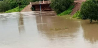 Mort des poissons sur le fleuve Mouhoun :la version de l’universitaire Frédéric Zongo