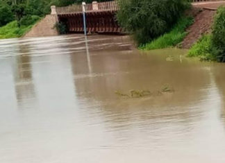 Mort des poissons sur le fleuve Mouhoun :la version de l’universitaire Frédéric Zongo