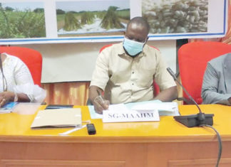 Projet de renforcement de la production du sésame : un défi pour pérenniser les acquis