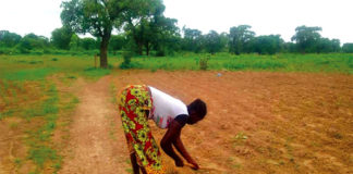 Foncier rural dans la région du Centre : les terres, « otages » de la loi 034-2009
