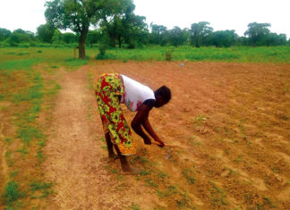 Foncier rural dans la région du Centre : les terres, « otages » de la loi 034-2009