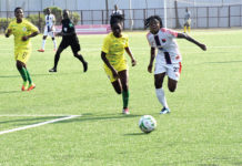 Ligue des champions féminine : les Colombes n’iront pas en Egypte